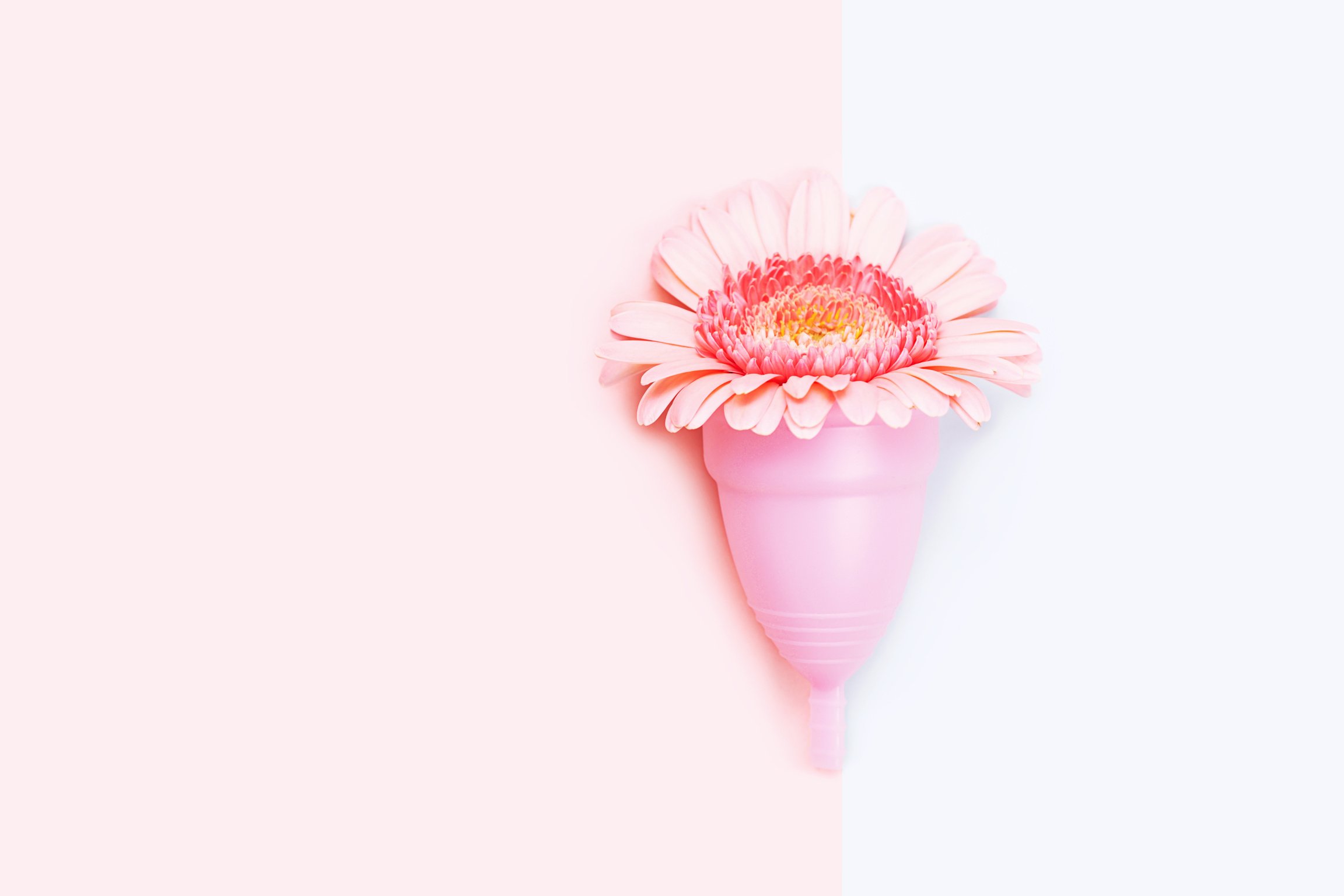 Pink Menstrual Cup and a Flower 